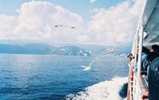 俄狄甫斯和安提戈涅