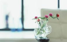 醉人的妹子们,让你醉开心