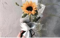 拯救赫拉克勒斯的子孙们的战争