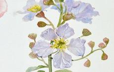 宁夏之后 天长地久