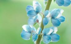 学校门口小卖部阿姨 是我女神