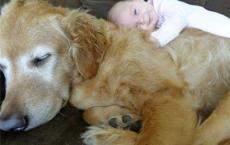 赫拉克勒斯与巨人的战斗