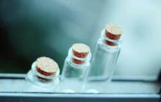 活捉厄律曼托斯山上的野猪