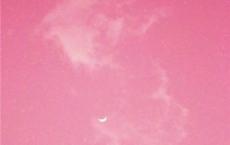 驱赶斯廷法罗斯湖的怪鸟