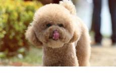 爆笑  一听撒尿的声音我就知道谁是谁了