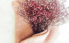 一个球，一双脚，一个梦想