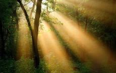 爆笑——机智的校长