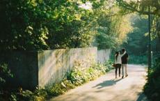 阿耳戈英雄们的最后一次冒险