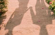 世上笨鸟有三种