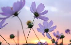 赫拉克勒斯与欧律斯透斯