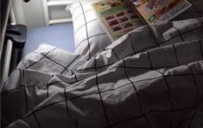 勇斗尼密阿巨狮