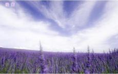 希腊的英雄传说