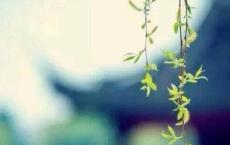 一波老师的幽默和糗事