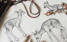 大唐荣耀史思明生平简介 史思明和太子妃有染吗？