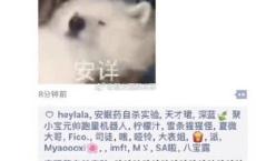 秦孝公和商鞅是什么关系？秦孝公为何重用商鞅？