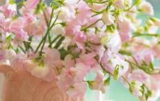 爆囧, 这是要翻脸的节奏