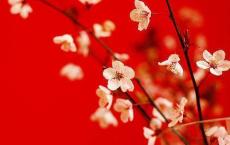 清明节的来历|关于清明节的资料