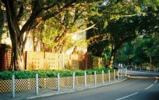 渣男的这些花招，欺骗了无数姑娘！