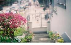 没有优美的句子没有美妙的旋律