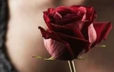 库克诺斯国王袭击希腊人