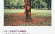 原来我把自己迷失在网络了