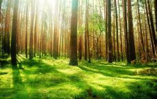 历史上唯一一个掉进粪坑淹死的国君 晋景公生平简介