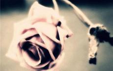 网络日志：总有一句是心事