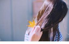 网络日志：虚拟的网络,真实的自我