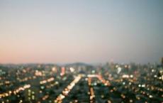 深圳：生不了根就把自己拔走