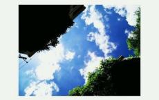 写给未来＂她“的一封信