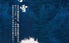 一路上有你陪伴