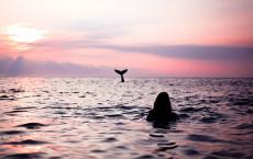 李元昊的妻子简介 李元昊为什么姓李？他为什么改姓嵬名？