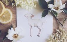 赵代王嘉生平简介 他是如何当上代王的？