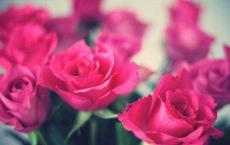 赵孝成王是谁的儿子？他的母亲又是谁呢？