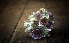 爱意飘飘—相知的日子