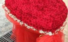 只是想单纯的记下这几天的记忆，我太健忘 (4.30)