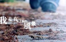 丢弃食物是“时尚”吗