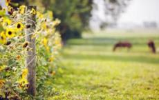 为加密的空间鼓掌