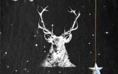 我一个骗子的网恋