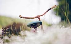 赵代王嘉是谁的儿子？他是赵国太子吗？