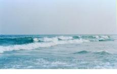 赵惠文王的王后是谁？有什么历史事迹？