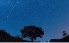 赵惠文王为什么要将父亲活活饿死？为何他弑父还能稳坐王位？