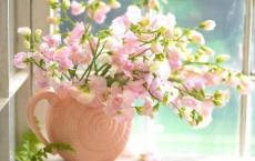 聆听少年的回音