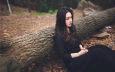 关于田园风光的诗句大全