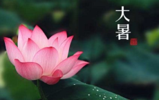 表示保护眼睛的精彩段落优美句子