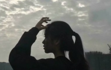 竹子的诗句