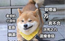关于泡面的一句经典的话