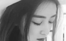 赞美孔雀的简短诗句
