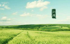 写作