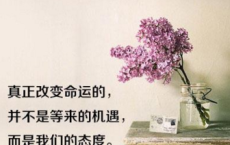 念.倾城